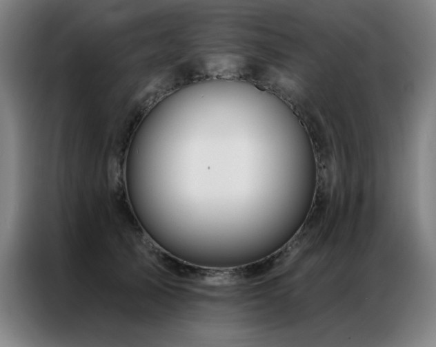 X0000087380705200704201245