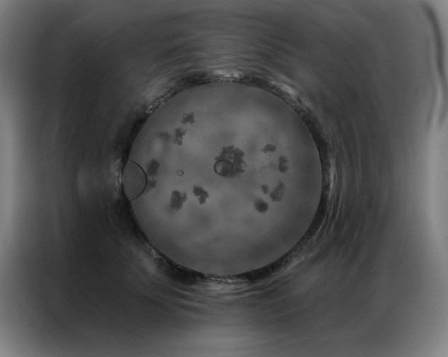 X0000087380707200704201245