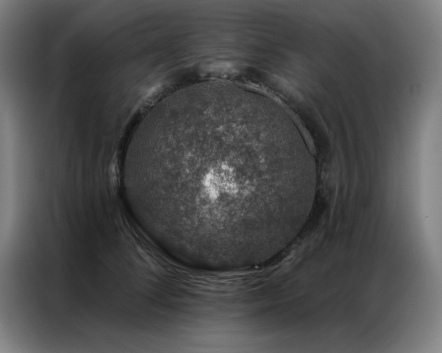 X0000087380708200704201245