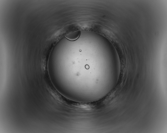X0000087380710200704201245