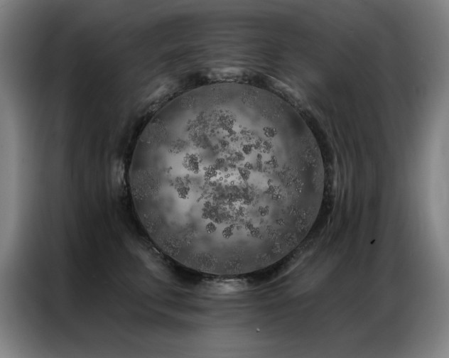 X0000087380711200704201245