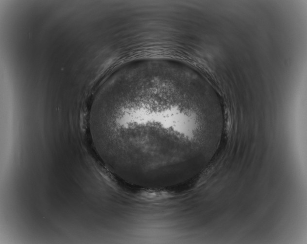X0000087380712200704201245