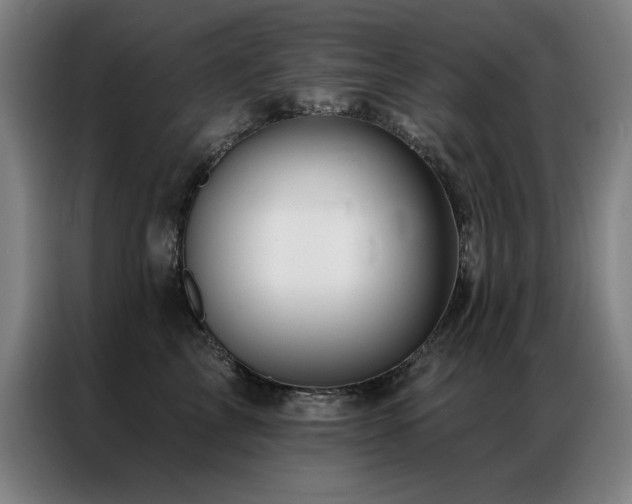 X0000087380713200704201245