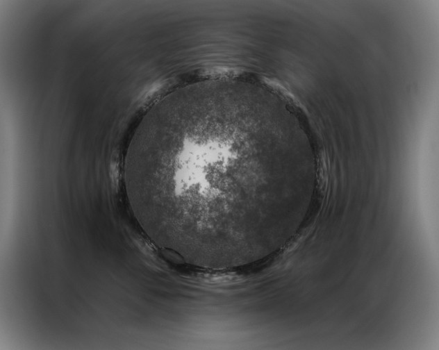 X0000087380716200704201245