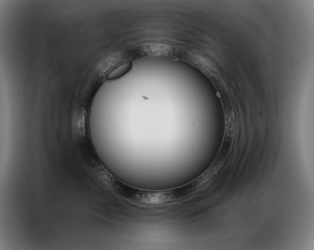 X0000087380717200704201245