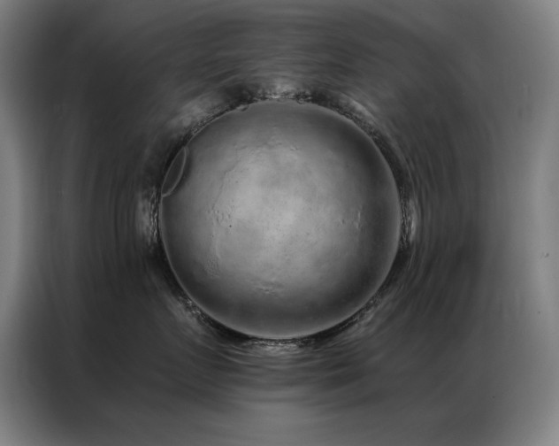 X0000087380719200704201245
