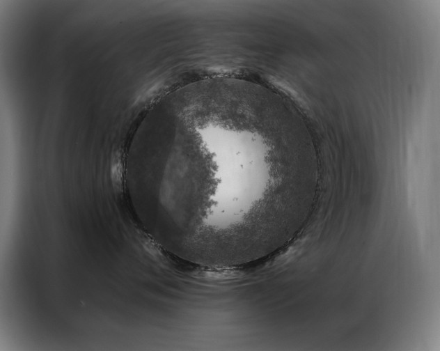 X0000087380720200704201245