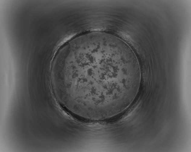 X0000087380721200704201245