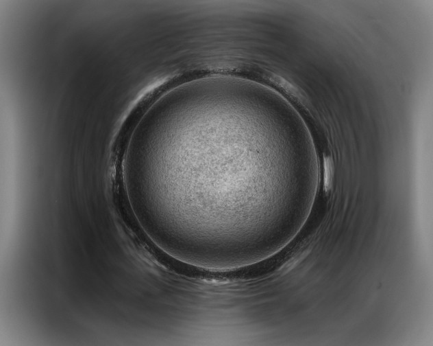X0000087380723200704201245