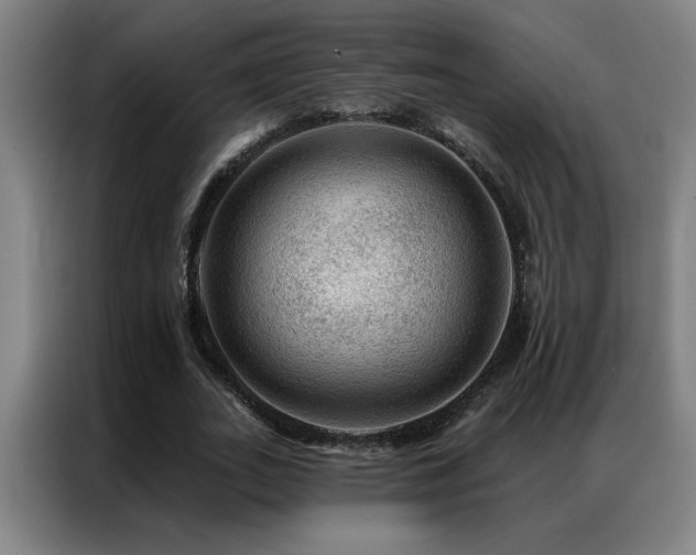 X0000087380727200704201245