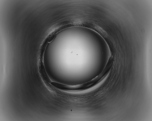 X0000087380728200704201245