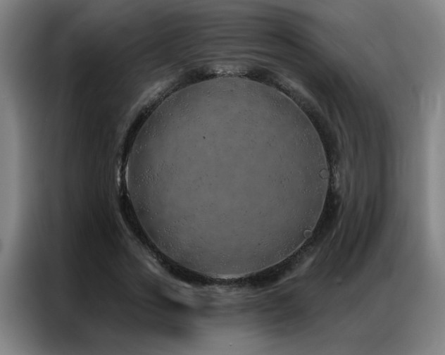 X0000087380733200704201245