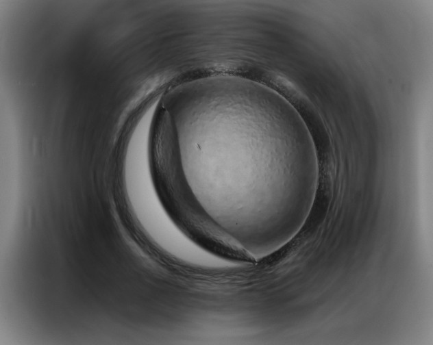 X0000087380734200704201245