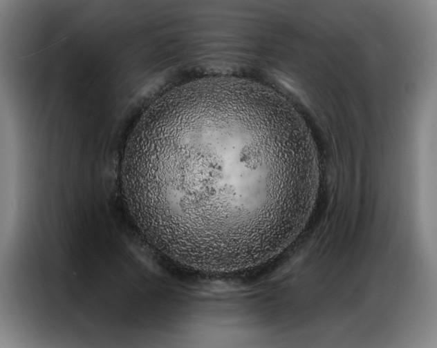 X0000087380737200704201245