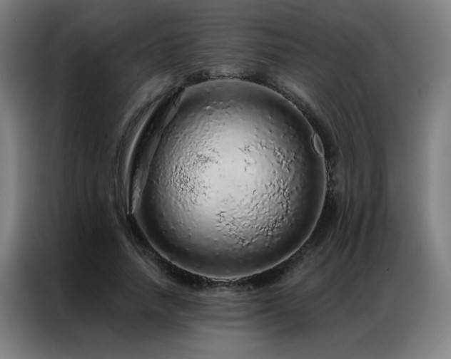 X0000087380738200704201245