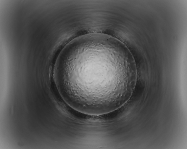 X0000087380742200704201245