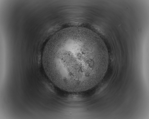 X0000087380745200704201245