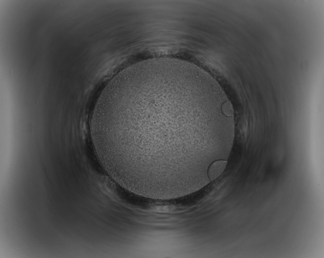 X0000087380746200704201245