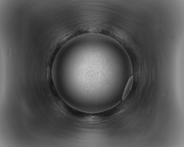 X0000087380748200704201245