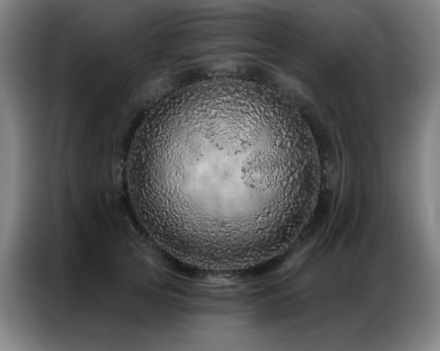 X0000087380753200704201245