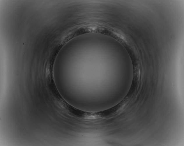 X0000087380754200704201245