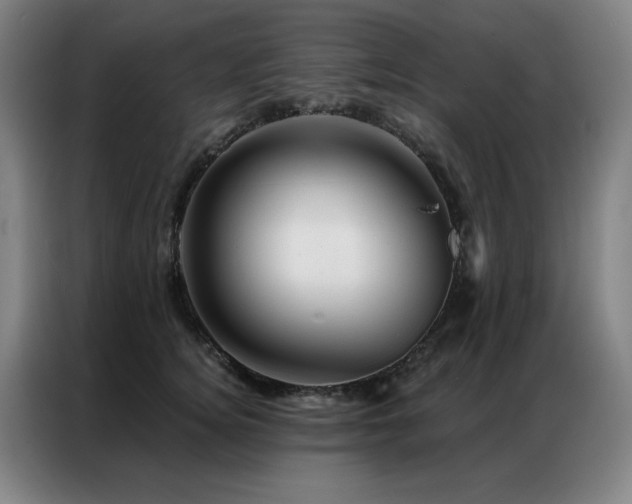 X0000087380756200704201245
