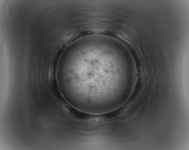 X0000087380760200704201245