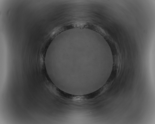 X0000087380761200704201245