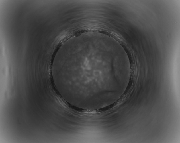 X0000087380762200704201245