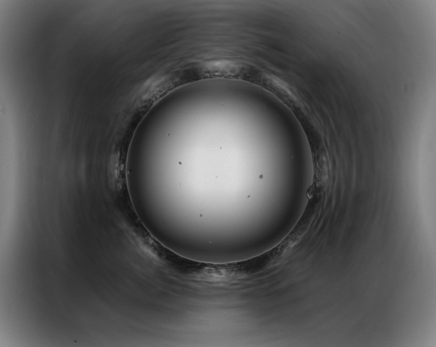 X0000087380764200704201245