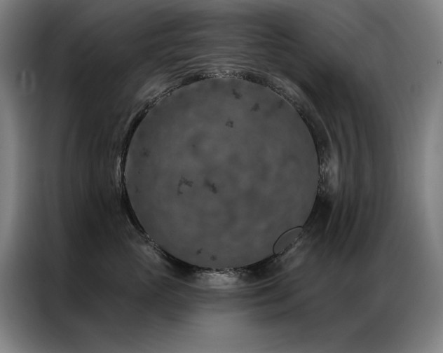 X0000087380765200704201245