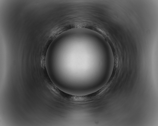 X0000087380766200704201245
