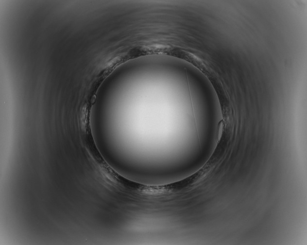 X0000087380767200704201245