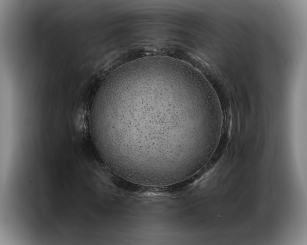 X0000087380770200704201245