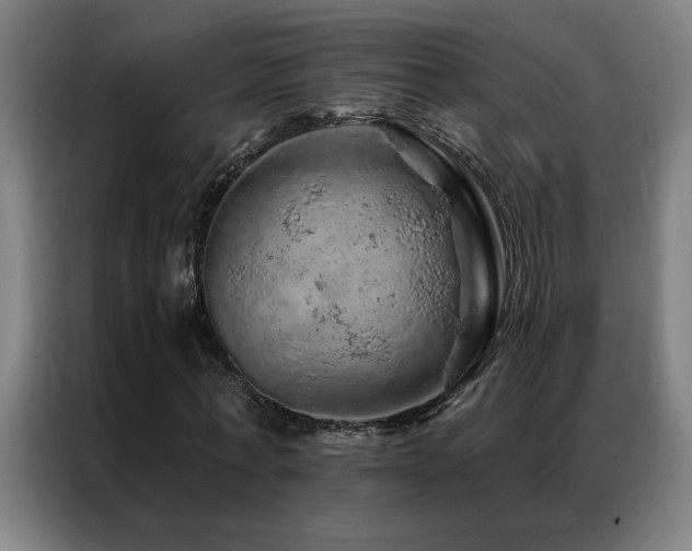X0000087380771200704201245