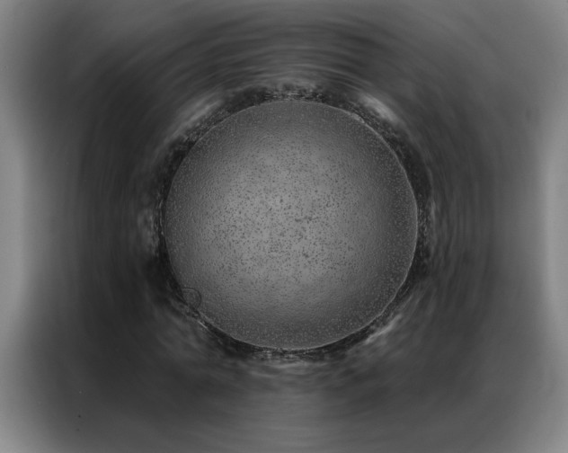 X0000087380774200704201245
