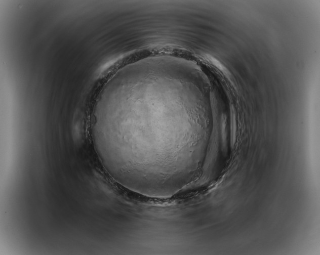 X0000087380775200704201245