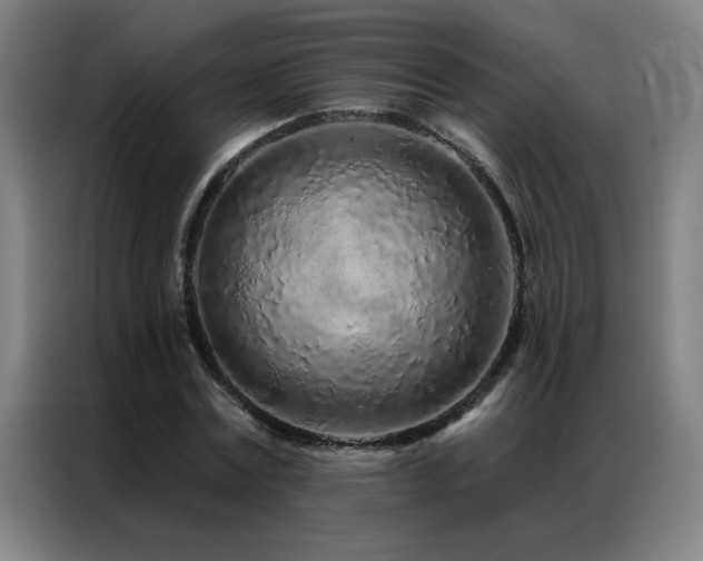 X0000087380779200704201245