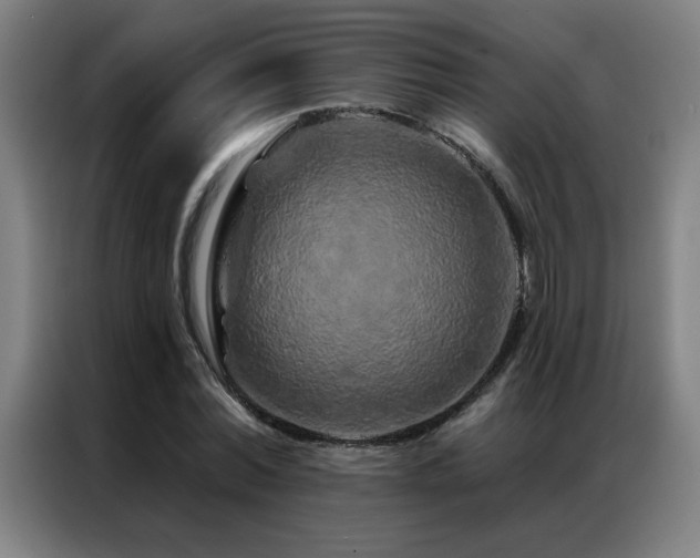 X0000087380780200704201245