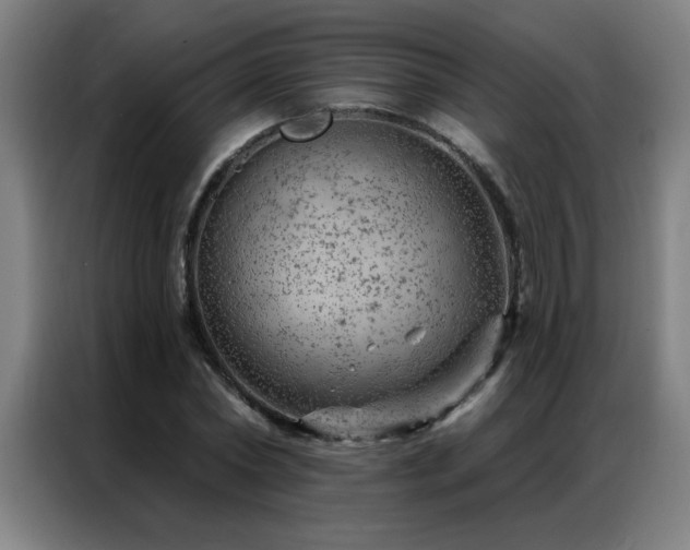 X0000087380782200704201245