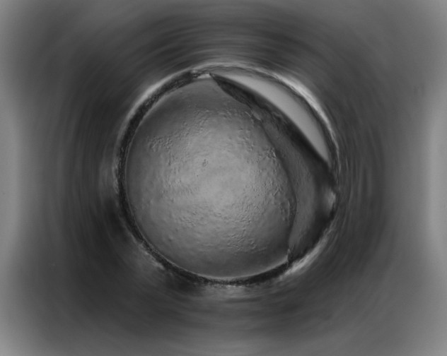 X0000087380783200704201245