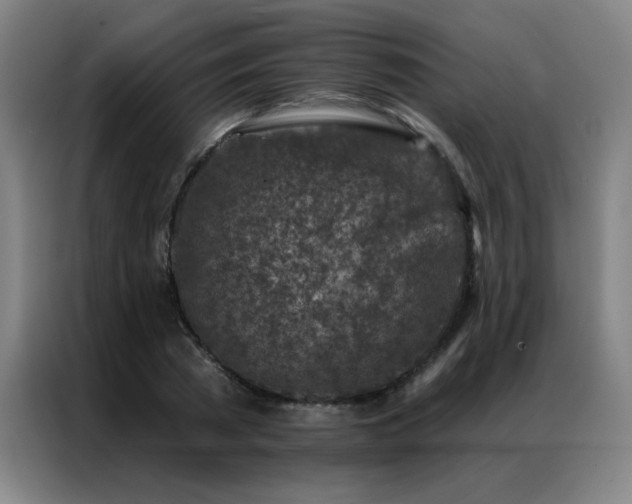X0000087380785200704201244