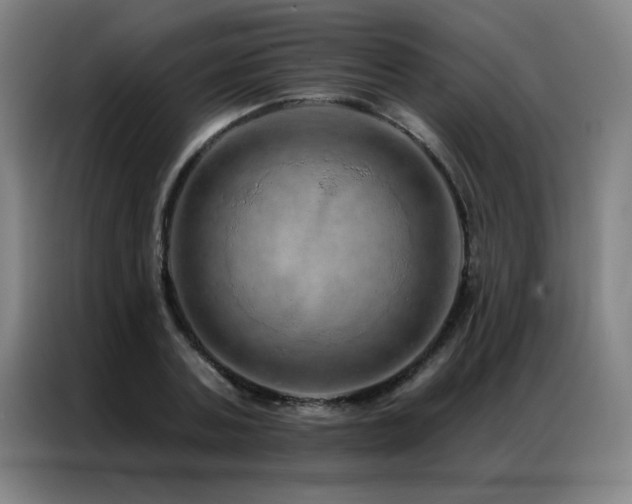 X0000087380787200704201244