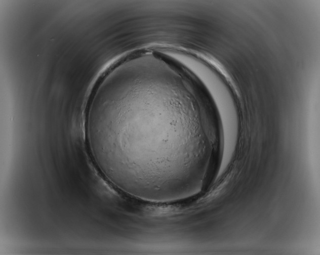 X0000087380791200704201244