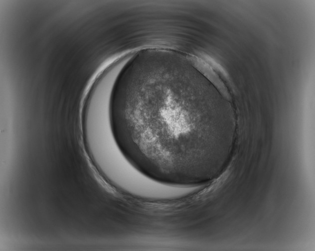 X0000087380792200704201244