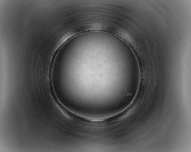 X0000087380794200704201244