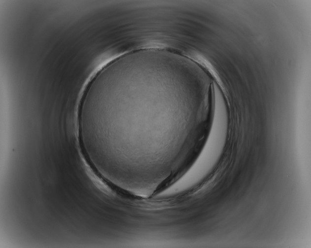 X0000087380795200704201244