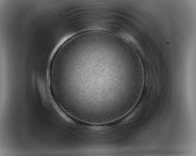 X0000087380796200704201244