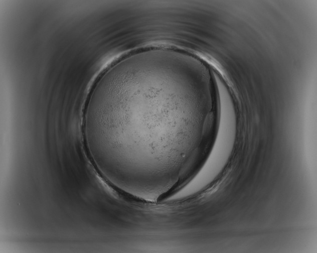 X0000087380799200704201244
