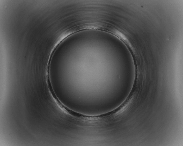 X0000087380802200704201244